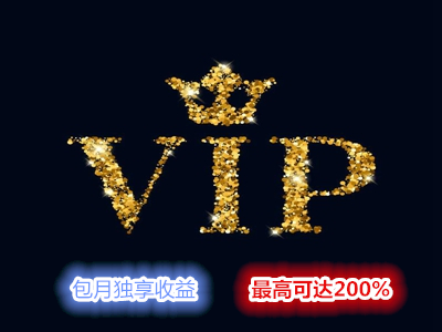 公司推出VIP尊享服务，独享收益。